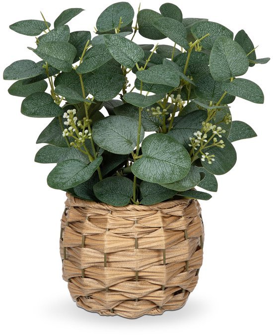 Unyqoos® Decoratieve kunstplant eucalyptus in pot voor sfeervol interieurontwerp