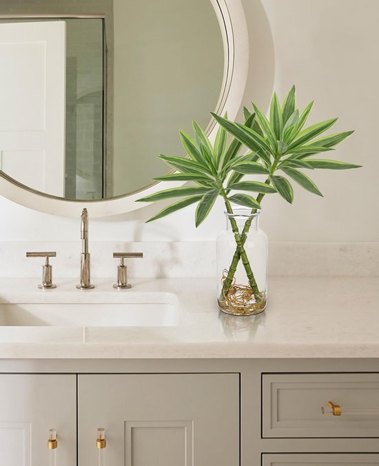 550x676-17.jpg Unyqoos® Levensechte Dracaena Kamerplant in Stijlvolle Glasvaas voor Interieurdecoratie, groente, 36 cm