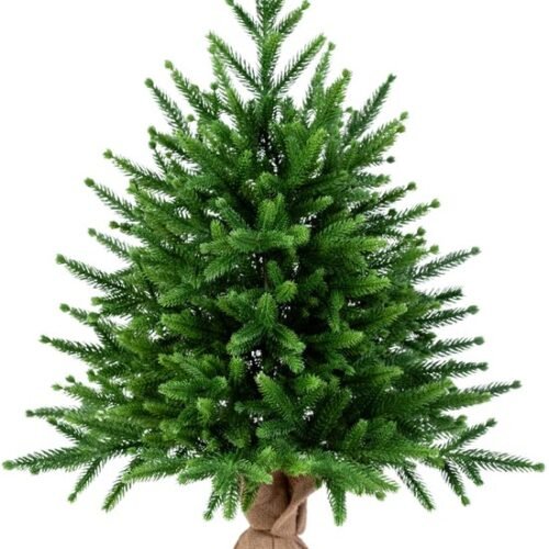 Unyqoos® Compacte en Natuurlijke Kunstkerstboom van 65 cm voor Sfeervolle Feestdagen