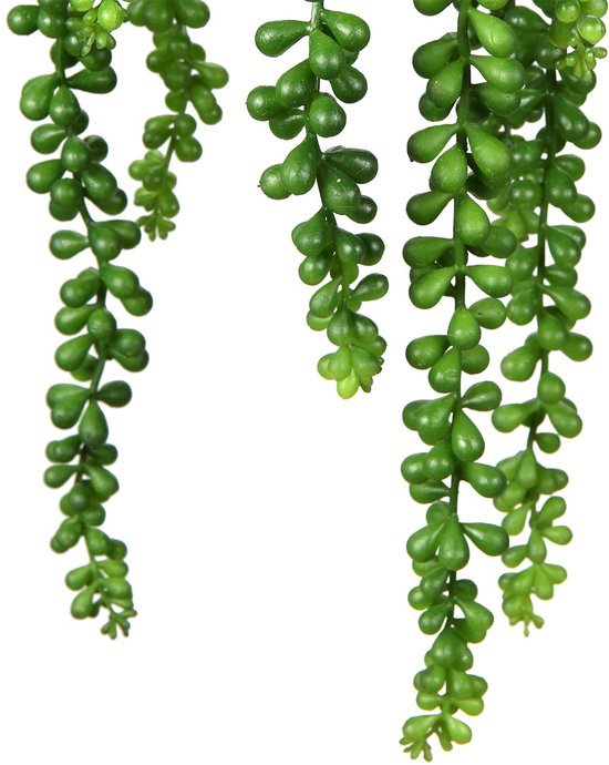 Unyqoos® Levensechte kunstvetplant als wanddecoratie voor binnen en buiten groente, 35 cm