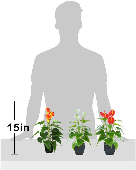 550x690-21.jpg Unyqoos® Stijlvolle kunstmatige Calla-lelie in zwarte pot voor interieurdecoratie
