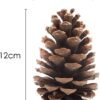 550x699-6.jpg Unyqoos® Set van 15 natuurbruine dennenappels voor decoratie en knutselprojecten