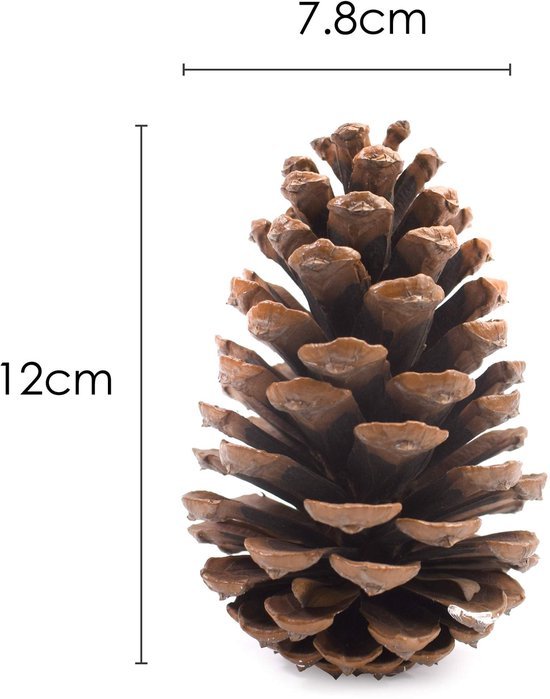 550x699-6.jpg Unyqoos® Set van 15 natuurbruine dennenappels voor decoratie en knutselprojecten