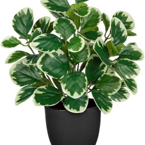 Unyqoos® Realistische 37 cm Kunstplant in Pot voor Huis en Kantoor Decoratie, groente, 37cm