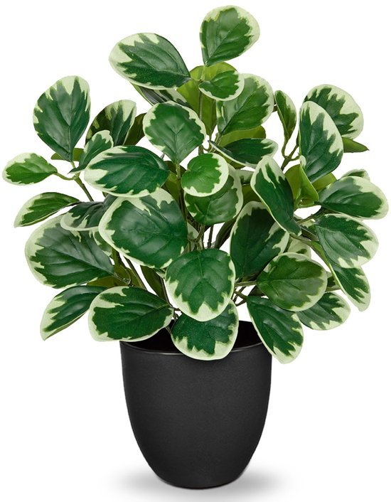 Unyqoos® Realistische 37 cm Kunstplant in Pot voor Huis en Kantoor Decoratie, groente, 37cm