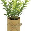 550x707-7.jpg Unyqoos® Set van zes kunstmatige kruidenplanten in decoratieve potjes voor huisdecoratie, groente, 12cm, stuks 6