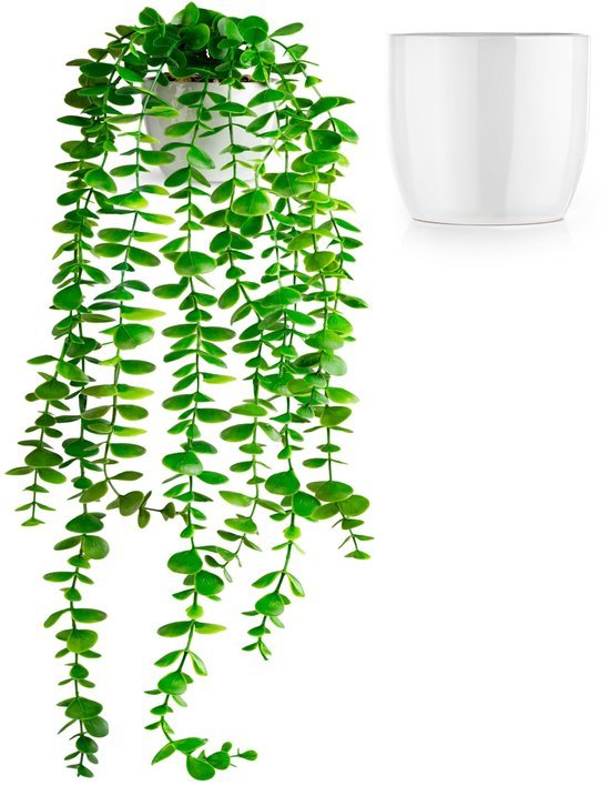 Unyqoos® Stijlvolle kunstmatige hangplant eucalyptus in elegante keramische pot, groente, 60cm