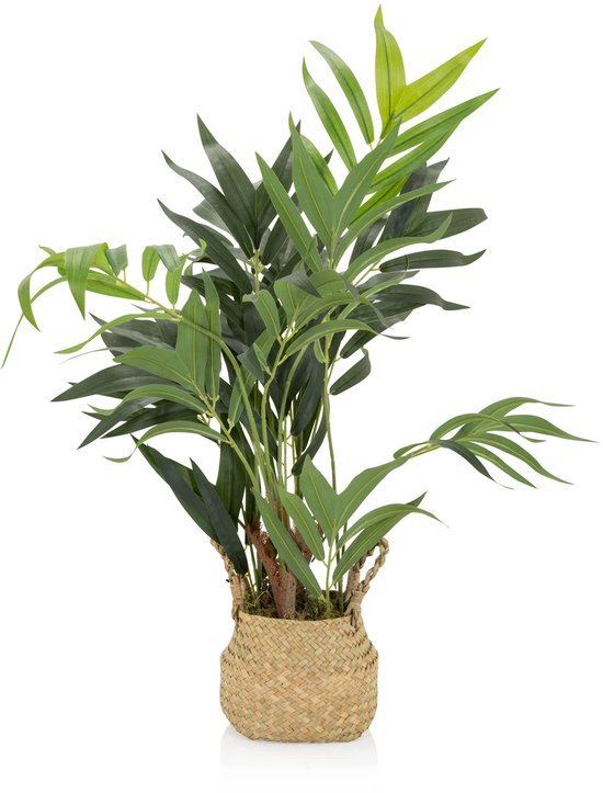 Unyqoos® Decoratieve kunstpalm met mand voor huis en tuin, onderhoudsvrij 65 cm