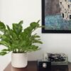550x733-104.jpg Unyqoos® Stijlvolle kunstplanten in pot voor decoratieve tafelaankleding en interieur, groente, 39 cm