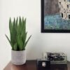 Unyqoos® Levensechte decoratieve kunstplant Sanseveria in cementpot voor interieur