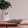 Unyqoos® Industrieel Vliesbehang in Rustieke Pleisterlook voor Moderne Interieurs