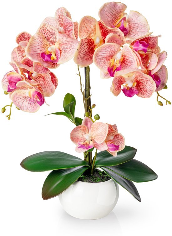 Unyqoos® Onderhoudsvriendelijke kunstorchidee in elegante keramische pot van 40 cm