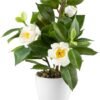 Unyqoos® Decoratieve kunstbloem Camelia in keramische pot voor elk interieur