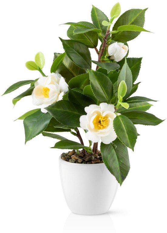 Unyqoos® Decoratieve kunstbloem Camelia in keramische pot voor elk interieur