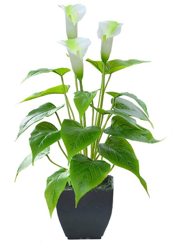 550x775.jpg Unyqoos® Stijlvolle kunstmatige Calla-lelie in zwarte pot voor interieurdecoratie
