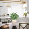 Unyqoos® Onderhoudsvriendelijke Eucalyptus Kunsttakken voor Diverse Decoratiemogelijkheden
