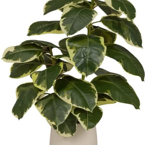 Unyqoos® Groenblijvende kunstplant Ficus elastica met realistische uitstraling voor elk interieur
