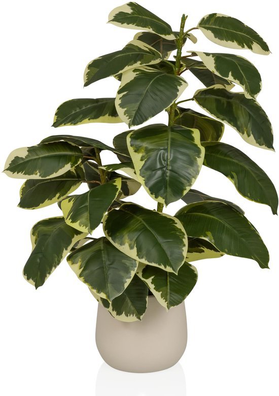 Unyqoos® Groenblijvende kunstplant Ficus elastica met realistische uitstraling voor elk interieur