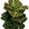 Unyqoos® Realistische kunstplant van 85 cm met pot voor interieurdecoratie