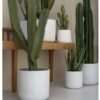 Unyqoos® Handgemaakte kunstmatige cactusplant voor binnen en buiten decoratie