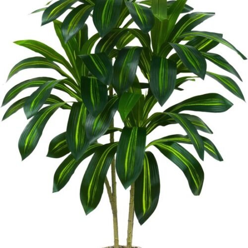 Unyqoos® Levensechte kunstplant Dracaena met elegante pot voor binnen en buiten