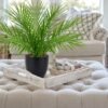 Unyqoos® Decoratieve kunstpalm in pot voor elke interieurstijl en ruimte