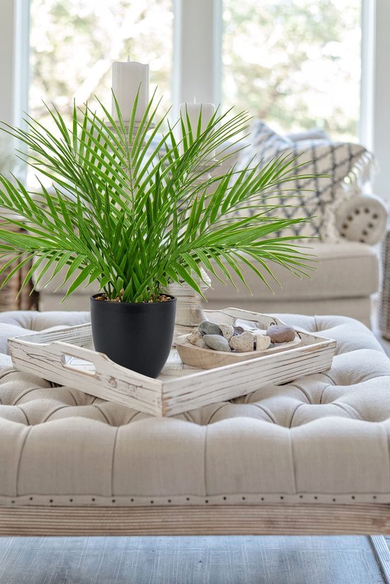 Unyqoos® Decoratieve kunstpalm in pot voor elke interieurstijl en ruimte