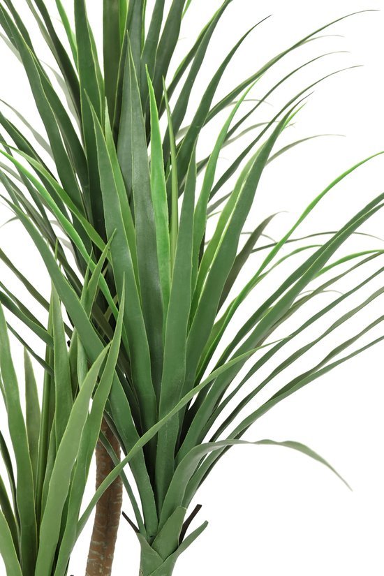 Unyqoos® Onderhoudsvrije Dracena Kunstplant voor Huis en Kantoorinterieur