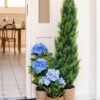 Unyqoos® Decoratieve kunsthortensia met pot voor een sfeervol interieur
