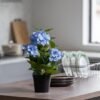 Unyqoos® Decoratieve kunsthortensia met pot voor een sfeervol interieur
