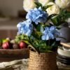 Unyqoos® Decoratieve kunsthortensia met pot voor een sfeervol interieur