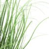 550x825-126.jpg Unyqoos® Natuurgetrouw kunstgrasarrangement voor stijlvolle interieurdecoratie van 40 cm