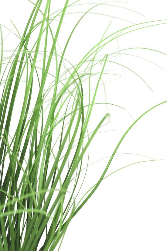 550x825-126.jpg Unyqoos® Natuurgetrouw kunstgrasarrangement voor stijlvolle interieurdecoratie van 40 cm
