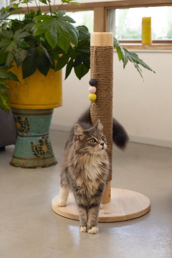 Unyqoos® Stijlvolle krabboom met speelballen voor katten in zandkleurig design