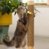 Unyqoos® Stijlvolle krabboom met speelballen voor katten in zandkleurig design