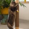 Unyqoos® Stijlvolle krabboom met speelballen voor katten in zandkleurig design