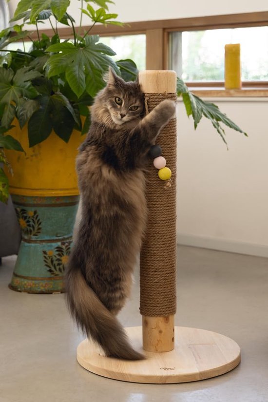 Unyqoos® Stijlvolle krabboom met speelballen voor katten in zandkleurig design
