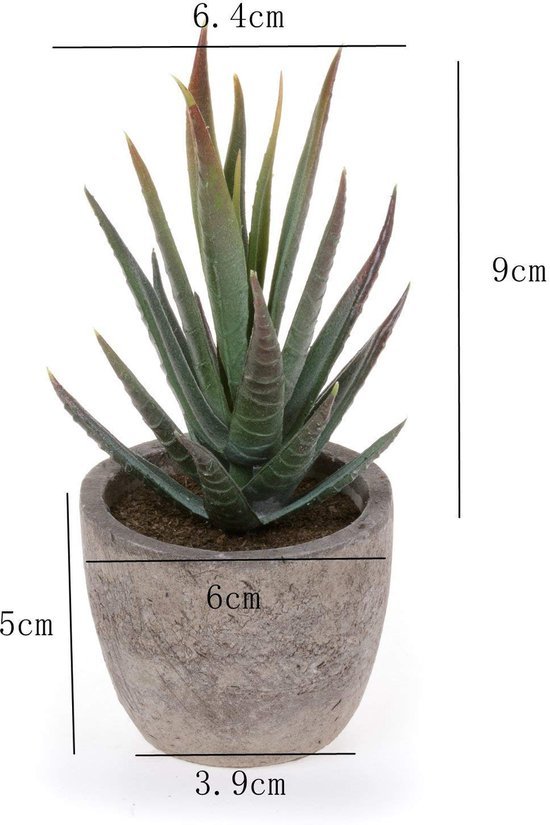 Unyqoos ® Levensechte Sierplanten voor Binnenhuisdecoratie met Onderhoudsvrije Kunstbloemen en Kunstgras