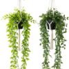 550x827-1.jpg Unyqoos® Set van twee levensechte kunstplanten voor veelzijdige binnen- en buitendecoratie