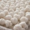 Unyqoos® Moderne Luxe Badmat met Popcornstructuur voor Stijlvolle Badkamers - 50 x 80 cm