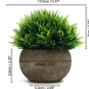 Unyqoos ® Kleurrijke Set van 4 Realistische Miniatuur Planten voor Diverse Interieurs en Ruimtes