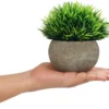 Unyqoos ® Kleurrijke Set van 4 Realistische Miniatuur Planten voor Diverse Interieurs en Ruimtes