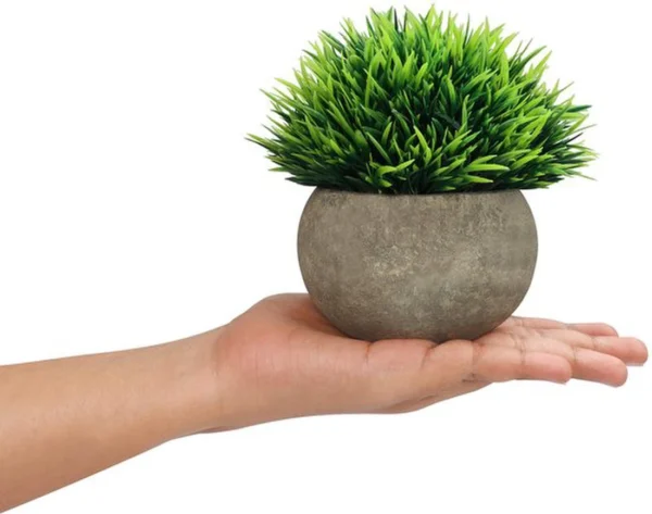 Unyqoos ® Kleurrijke Set van 4 Realistische Miniatuur Planten voor Diverse Interieurs en Ruimtes