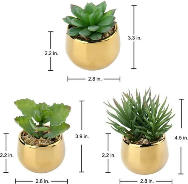 Unyqoos ® Set van Drie Realistische Vetplanten in Keramische Potten voor Elk Interieur