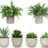 Unyqoos ® Set van 6 Realistische Kunstvetplanten in Stijlvolle Potten voor Diverse Interieurs