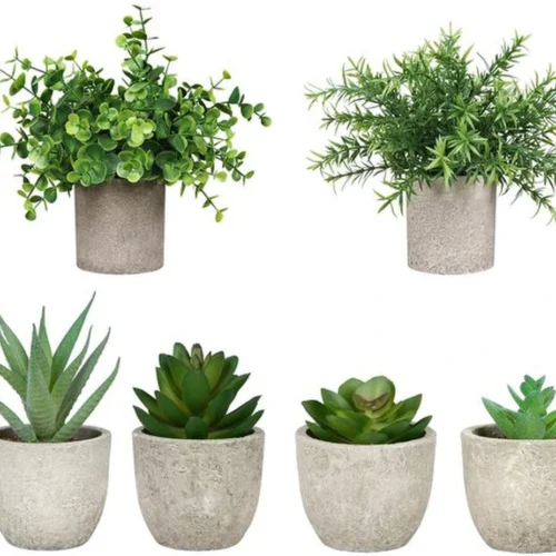 Unyqoos ® Set van 6 Realistische Kunstvetplanten in Stijlvolle Potten voor Diverse Interieurs