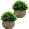 Unyqoos ® Set van 2 Realistische Miniatuur Kamerplanten in Decoratieve Grijze Potten