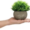 Unyqoos ® Set van 2 Realistische Miniatuur Kamerplanten in Decoratieve Grijze Potten