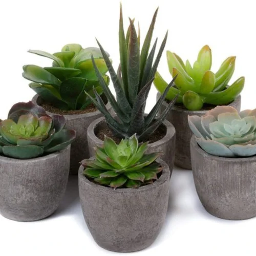 Unyqoos ® Levensechte Sierplanten voor Binnenhuisdecoratie met Onderhoudsvrije Kunstbloemen en Kunstgras