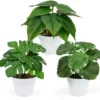 Unyqoos® Verbluffend Realistisch Kunstplantenset Met Drie Stuks Voor Diverse Ruimtes